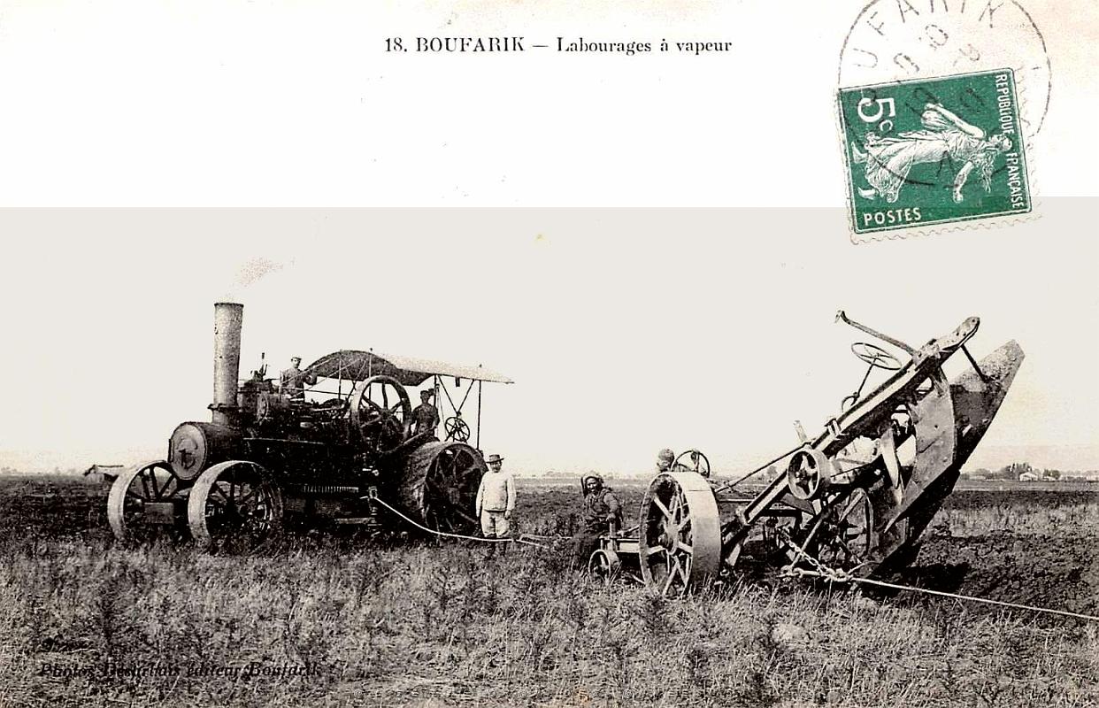 1069- Boufarik - Labourages a vapeur - 1910.jpg